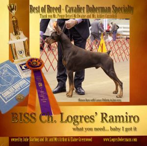 BISS Ch. Logres' Ramiro 